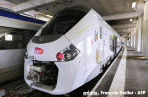 L-Etat-demande-une-enquete-sur-les-nouveaux-TER-trop-larges_article_main