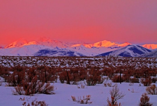 Carey Idaho January 20 2011 uploaded by fundawg to wunderblog