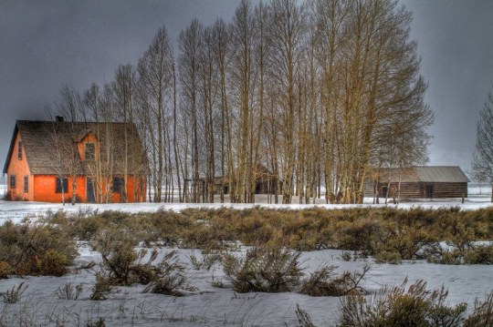 Moose Wyoming May 3 2011 uploaded by fundawg to wunderblog