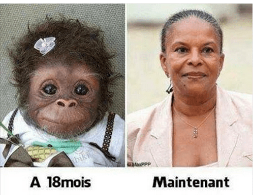 Photomontage-Taubira-singe-1