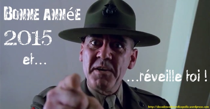 montage voeux 2015