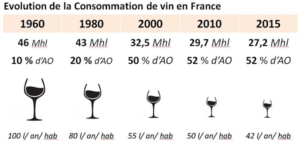 Conso-Vin-en-France2
