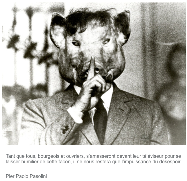 zentropaville-citation-pasolini