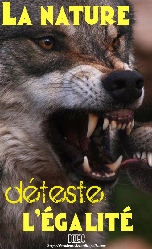 tumblr_p3w4on1c3M1tubkf6o1_540