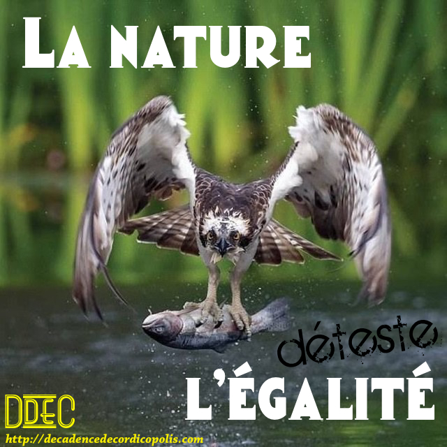 Nature vs égalité