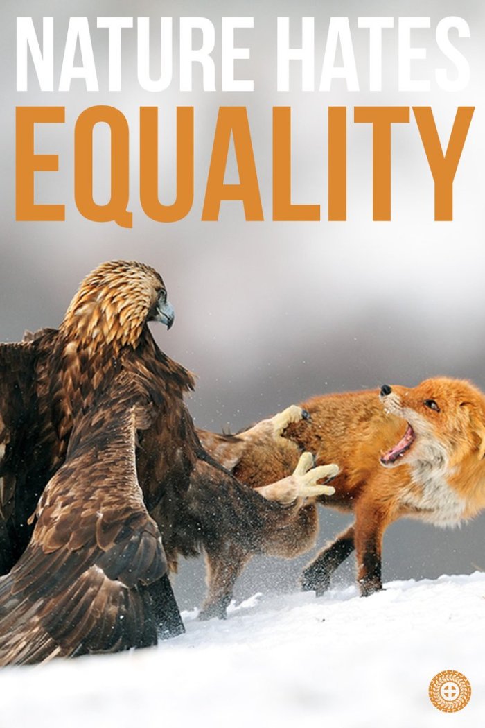 Nature hates equality